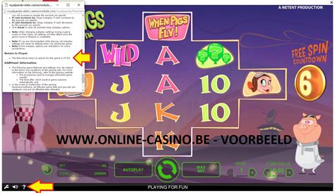  uitbetalingspercentage casino belgie